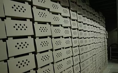 wall of crates for poult delivery