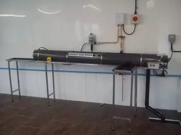 egg wash machine for sale