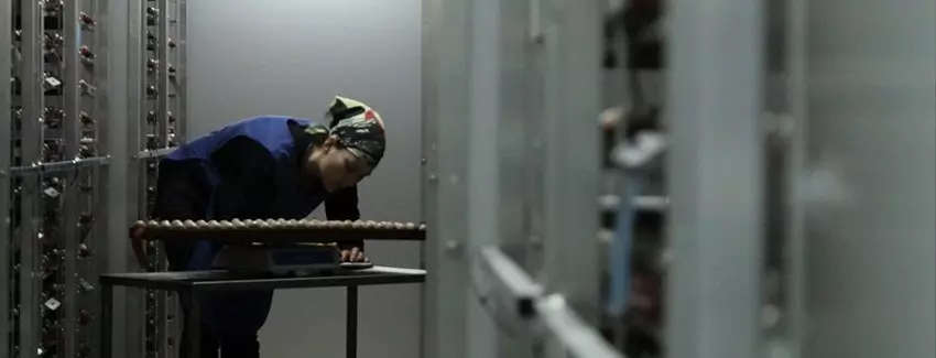 staff examining pheasant eggs