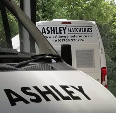 van with company graphics leaving on delivery